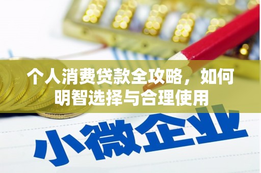 湖西个人消费贷款全攻略，如何明智选择与合理使用