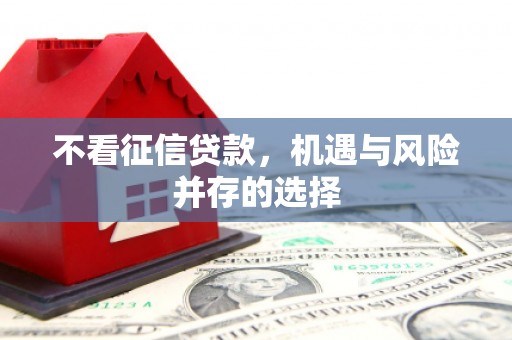 湖西不看征信贷款，机遇与风险并存的选择