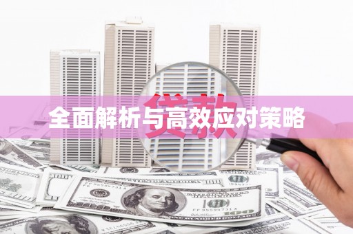 湖西全面解析与高效应对策略