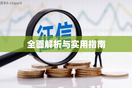 湖西全面解析与实用指南