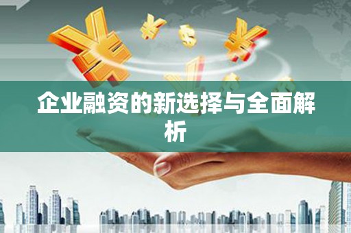 湖西企业融资的新选择与全面解析