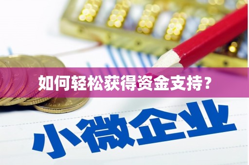 湖西如何轻松获得资金支持？
