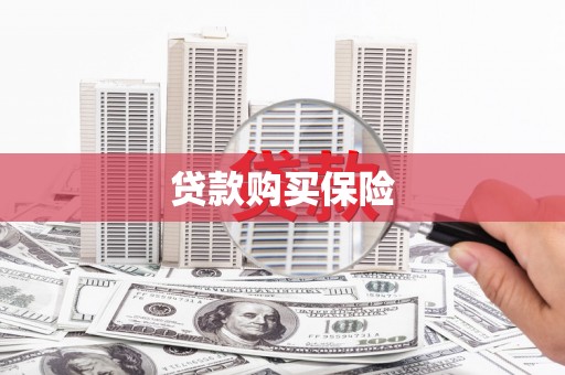 湖西贷款购买保险
