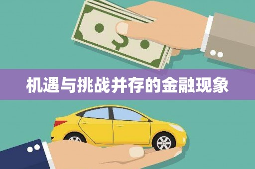 湖西机遇与挑战并存的金融现象