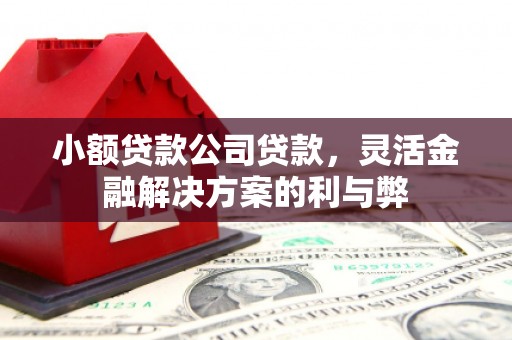 湖西小额贷款公司贷款，灵活金融解决方案的利与弊