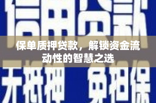 湖西保单质押贷款，解锁资金流动性的智慧之选