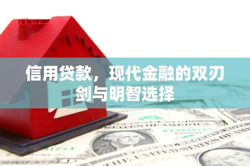 湖西信用贷款，现代金融的双刃剑与明智选择